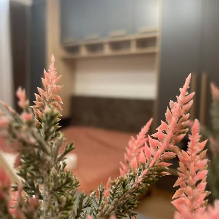 Daf Apartaments Pristina Eksteriør bilde
